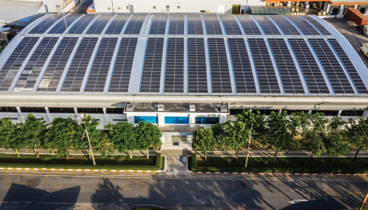 Bao bì Việt Thắng