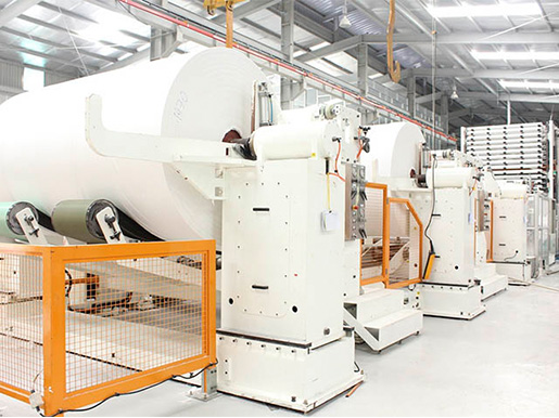 Thúc đẩy ngành bao bì giấy phát triển bền vững